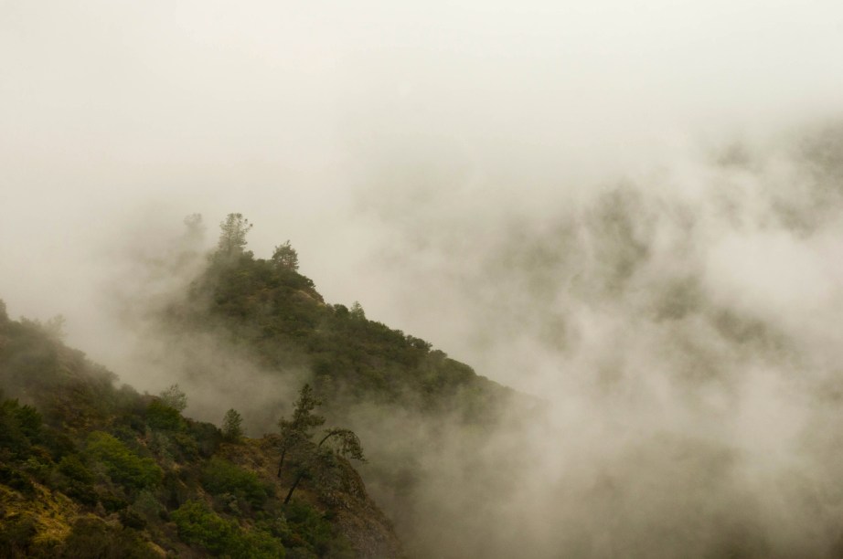 The Misty Hills Misty Hills