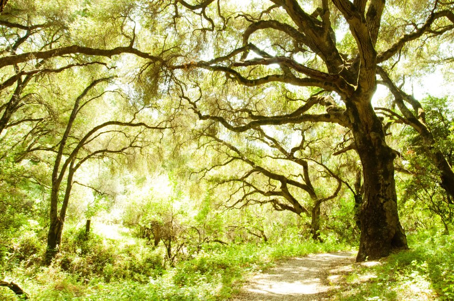 When You Have Forgotten Where You Are