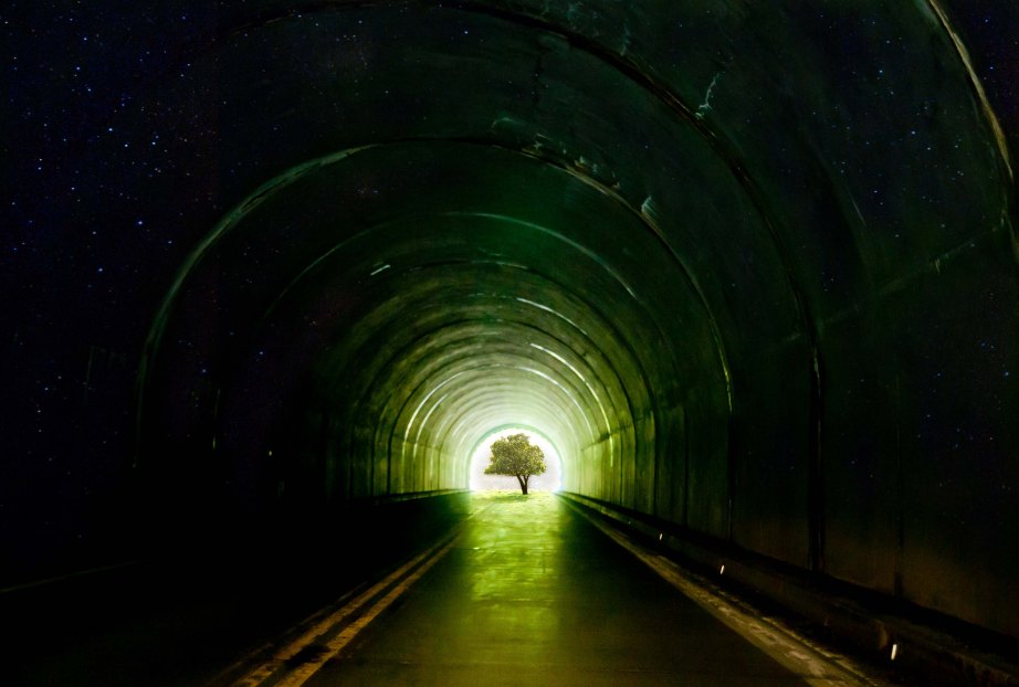 Sunlit star tunnel tree