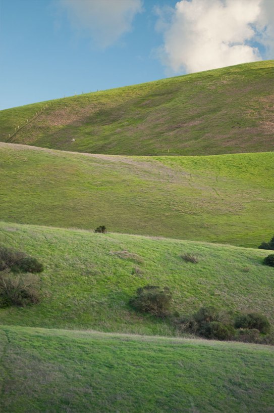 hills, rolling, green, sky clouds Sonoma