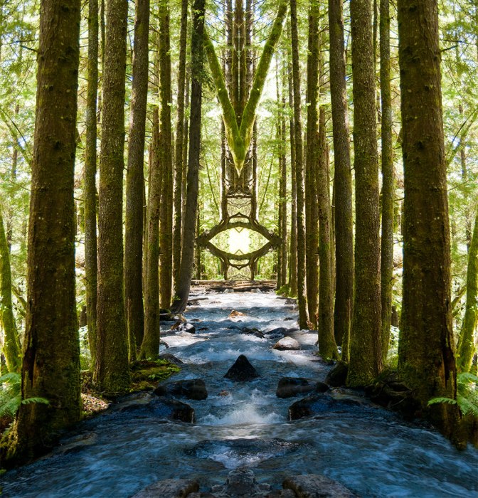 River, eye, tree, hallway