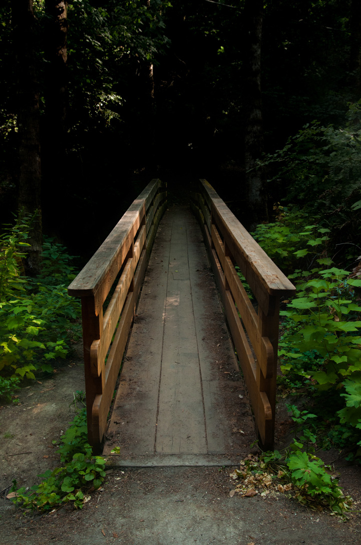 Tiny-Fiction_Dark-Bridge.jpg