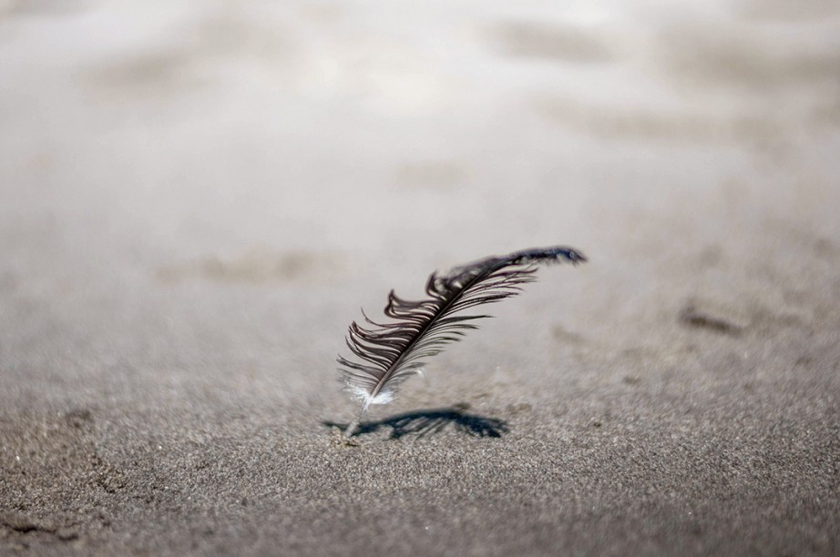 Feather-In-Sand_web